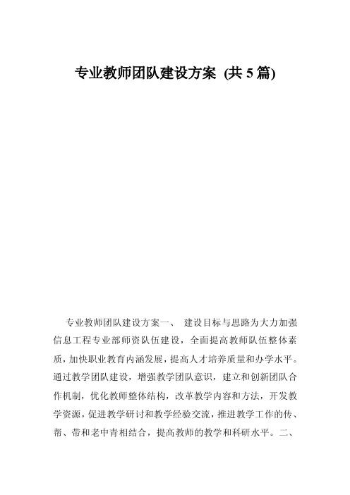 专业教师团队建设方案（共5篇）