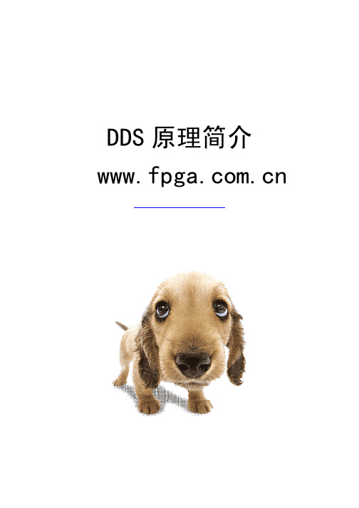 DDS 原理简介.doc