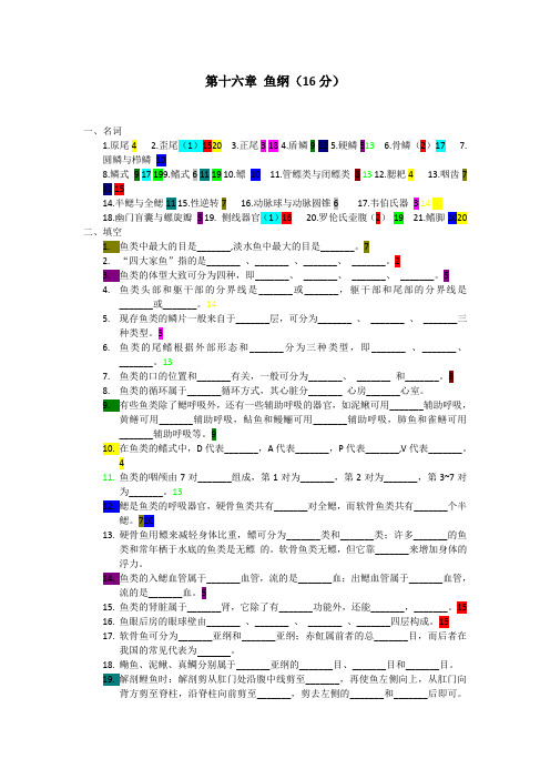 16 章鱼纲