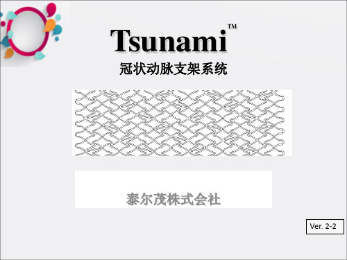 《支架TSUNAMI》PPT课件