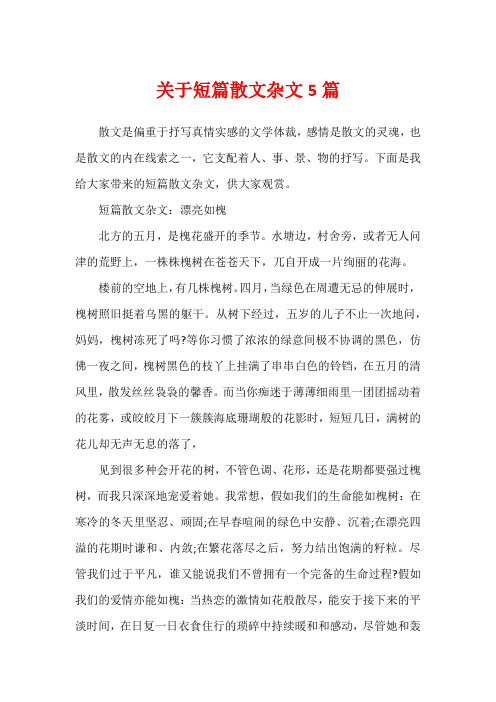 关于短篇散文杂文5篇