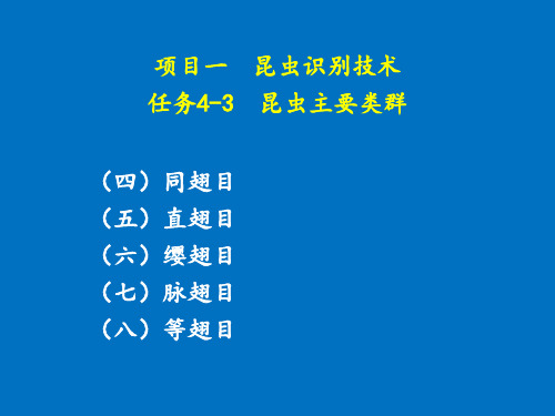 项目一  任务4-3  昆虫主要类群识别技术