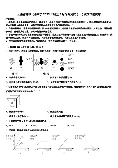 云南省楚雄北浦中学2025年初三3月综合测试(一)化学试题试卷含解析