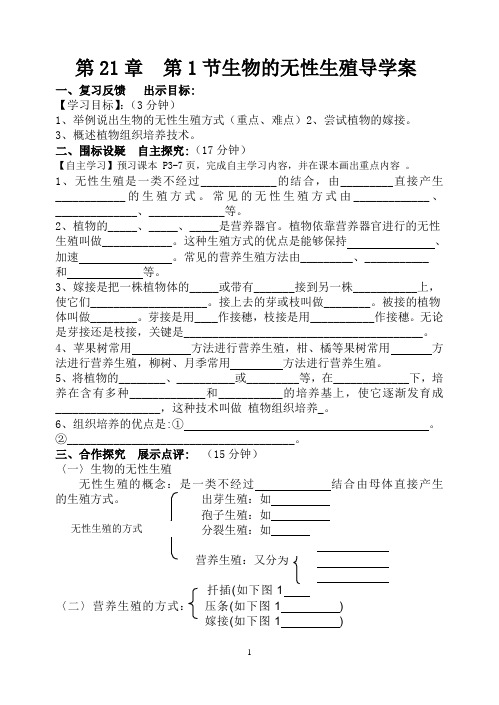 第一节 生物的无性生殖 导学案-苏教版八年级生物下册