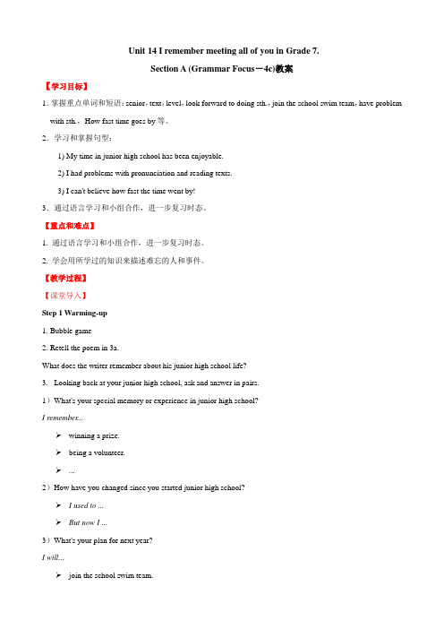 初中英语九年级 Unit 14 Section A  (Grammar focus-4c) 教案