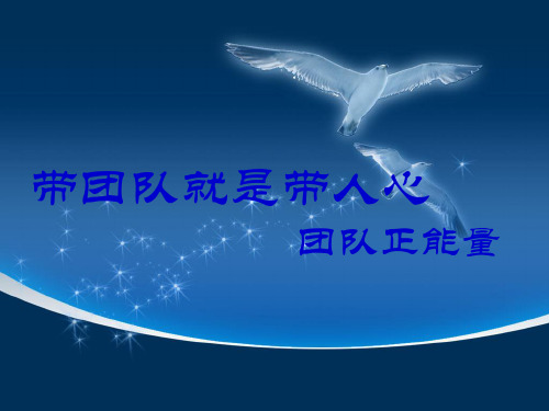 带团队就是带人心(PPT 页)