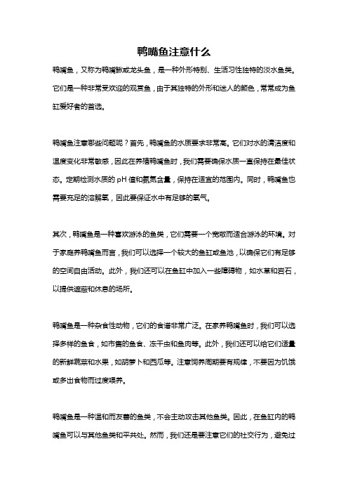 鸭嘴鱼注意什么