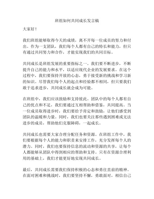 班组如何共同成长发言稿