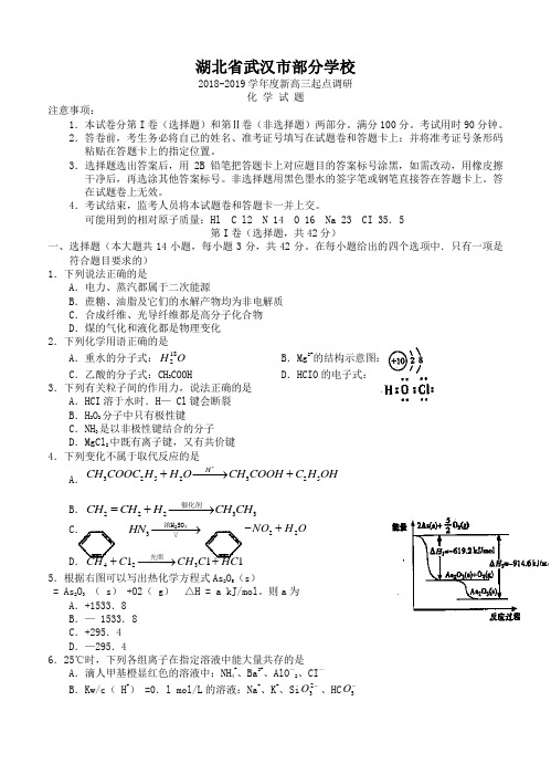 湖北省武汉市部分学校2019届高三9月起点调研考试-化学试题(含答案)