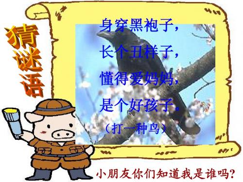 一年级语文下册_《乌鸦喝水》PPT课件