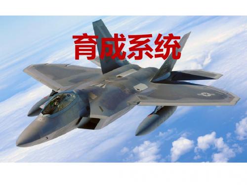 SIS-6育成系统
