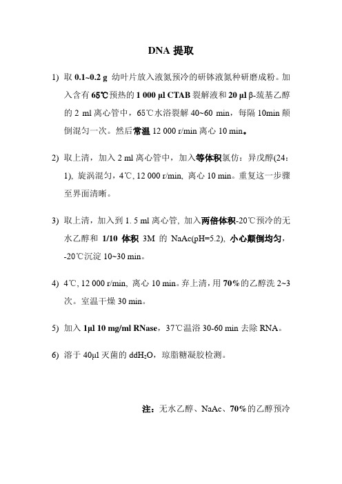 CTAB法提取植物DNA和RNA