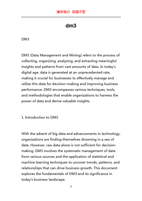 dm3_精品文档