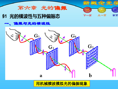 第一课新概念第六章