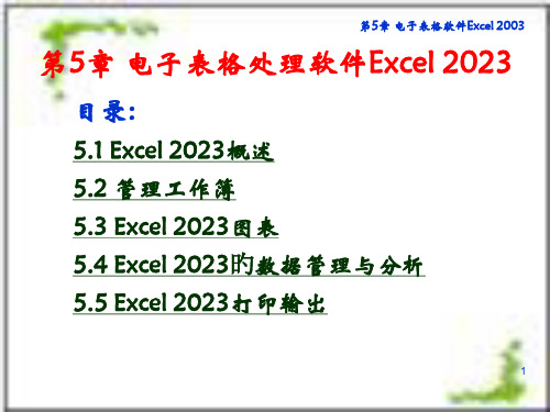 电子表格处理软件Excel