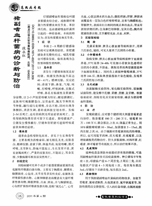 猪副嗜血杆菌病的诊断与防治