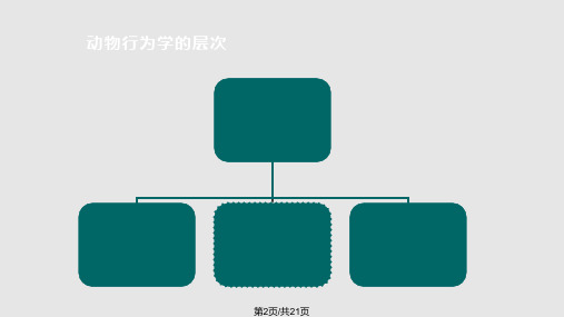 行为学整体实验室解决方案.pptx