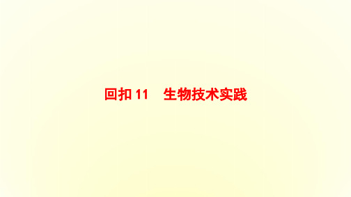 2016高考生物二轮复习课件第3部分-回扣11生物技术实践