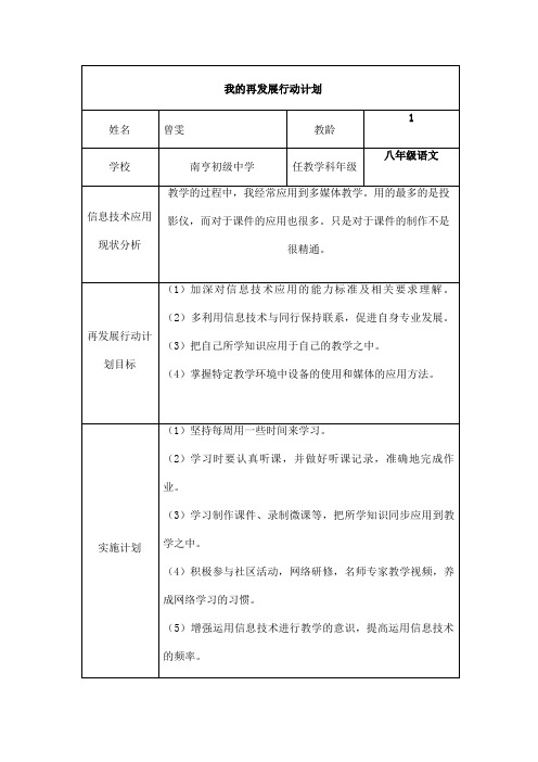 我的再发展行动计划