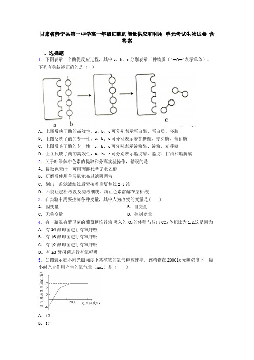 甘肃省静宁县第一中学高一年级细胞的能量供应和利用 单元考试生物试卷 含答案