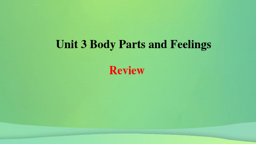 2018年秋季七年级英语上册-Unit 3 Body Parts and Feelings-Review课件 (新版)冀教版