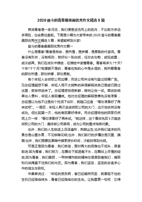 2020奋斗的青春最美丽优秀作文精选5篇