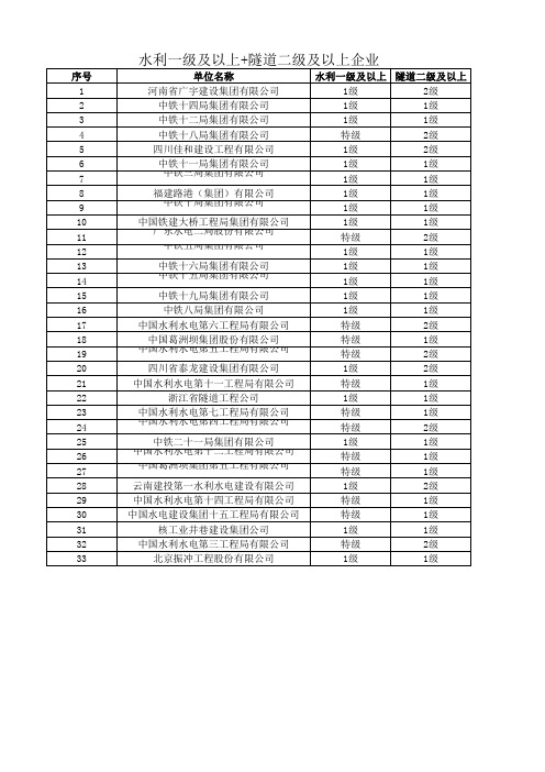 水利一级及以上施工企业+隧道二级及以上施工企业