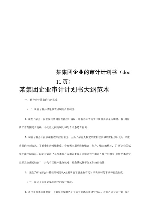 某集团企业的审计计划书(doc11页)