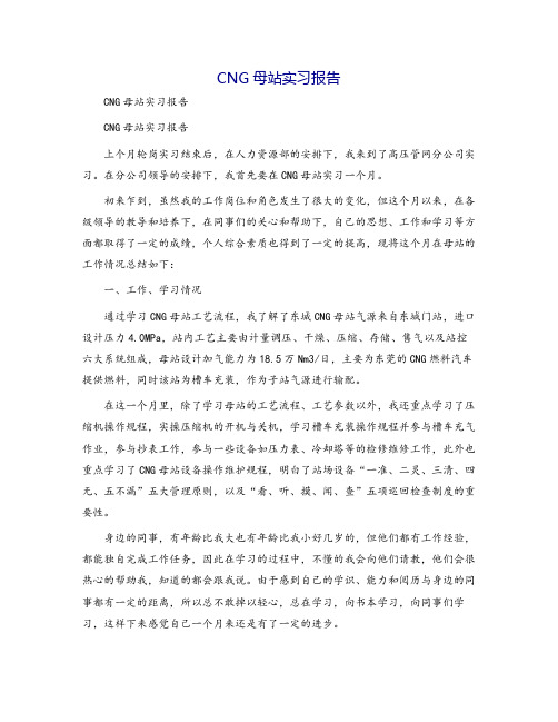 CNG母站实习报告