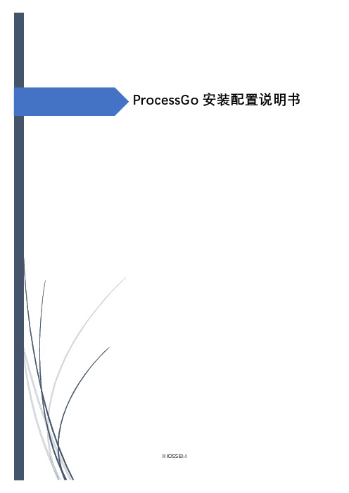 ProcessGo 安装配置说明书