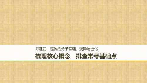 全国通用版高考生物二轮复习专题四遗传的分子基础变异与进化梳理核心概念排查常考基础点名师课件