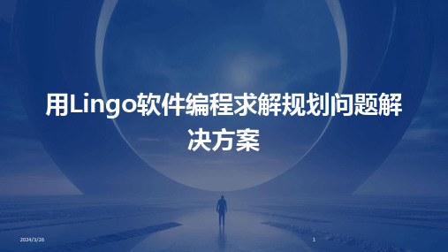 (2024年)用Lingo软件编程求解规划问题解决方案