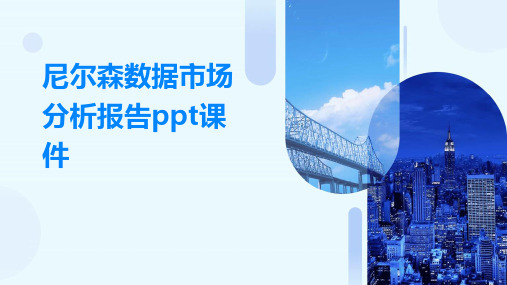 尼尔森数据市场分析报告ppt课件