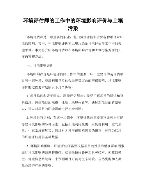 环境评估师的工作中的环境影响评价与土壤污染