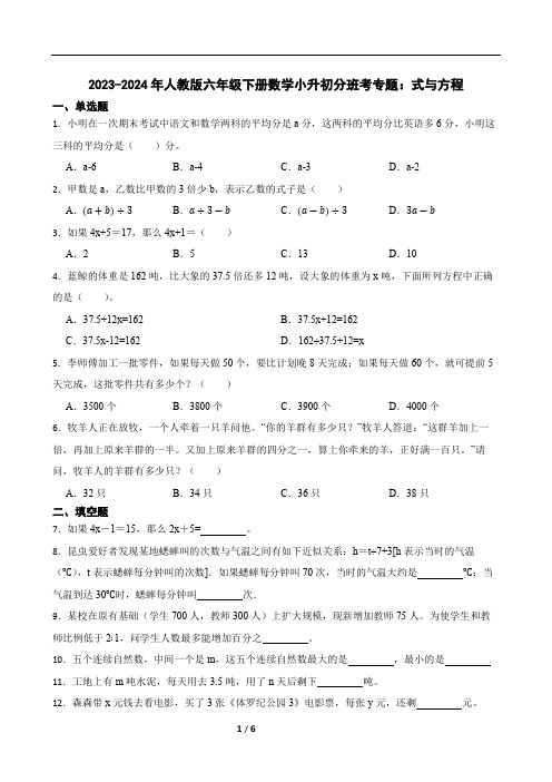 2023-2024年人教版六年级下册数学小升初分班考专题：式与方程(带答案)