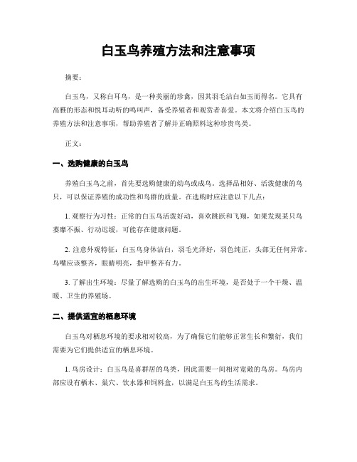 白玉鸟养殖方法和注意事项