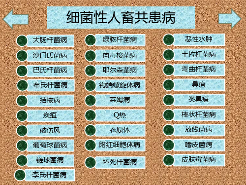 细菌性人畜共患病