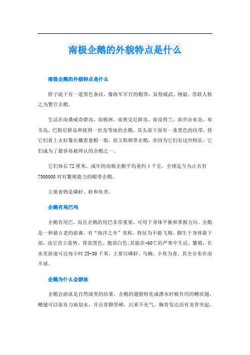 南极企鹅的外貌特点是什么