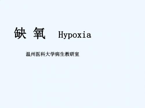 金可可《病理生理学》第七章 hypoxia缺氧