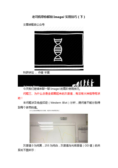 老司机带你解锁ImageJ实用技巧（下）