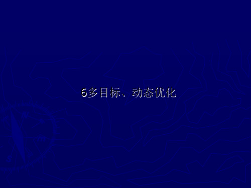 6多目标、动态优化