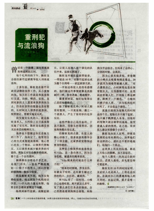 重刑犯与流浪狗