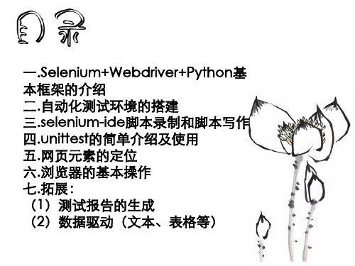 SeleniumWebdriverPython自动化测试环境PPT35页