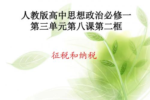 征税与纳税PPT