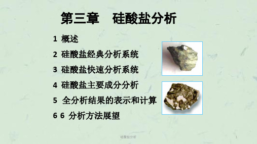 硅酸盐分析课件