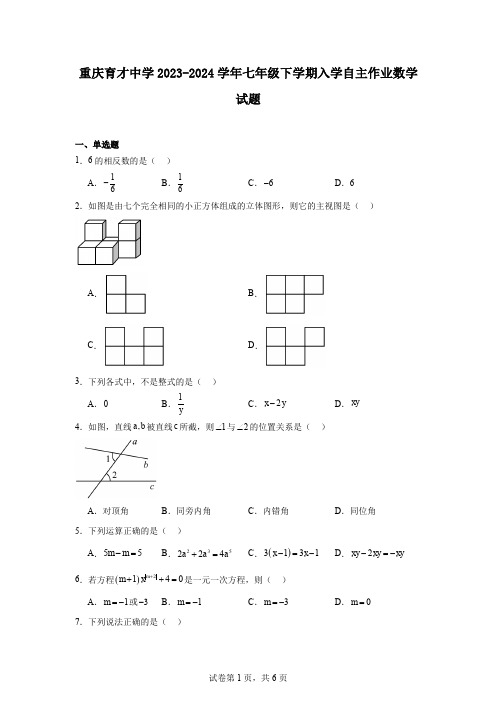 重庆育才中学2023-2024学年七年级下学期入学自主作业数学试题