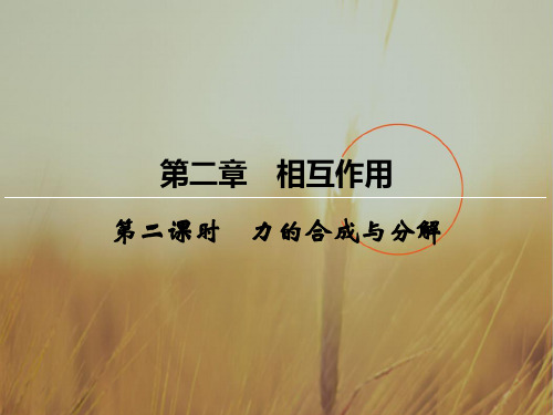 创新大课堂2018届高三物理一轮复习课件:第二章 相互作用 2