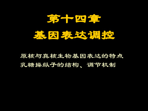 原核与真核生物基因表达的特点乳糖操纵子的结构`调节机制