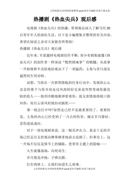 热播剧热血尖兵观后感