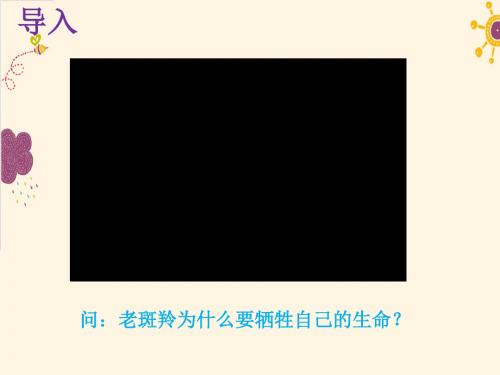 部编人教版道德与法治七年级下册《共奏和谐乐章》优质课件